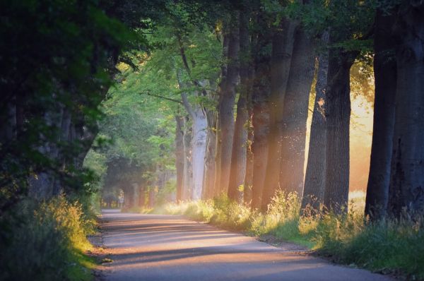 NATUUR