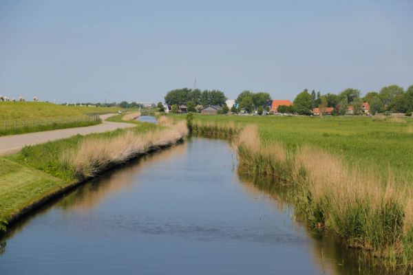 WEIDSHEID